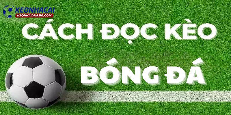 Hướng dẫn cách đọc kèo chấp nửa trái
